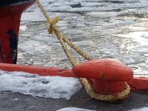 I løpet av en vandring langs bryggekanten i nabobyen falt tankene til ro
