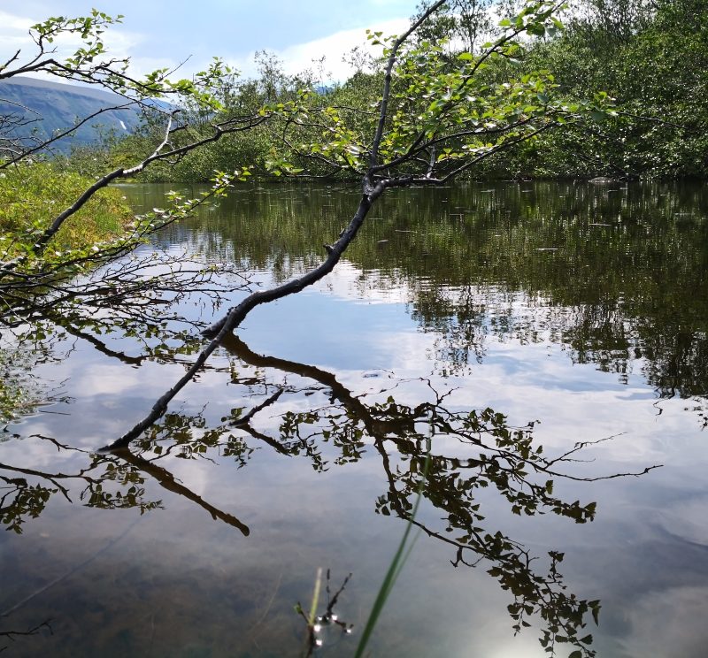 lomvannet aartnasaari